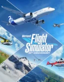 Microsoft Flight Simulator