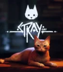 Stray