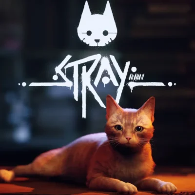 Stray